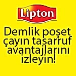 Lipton Sunum